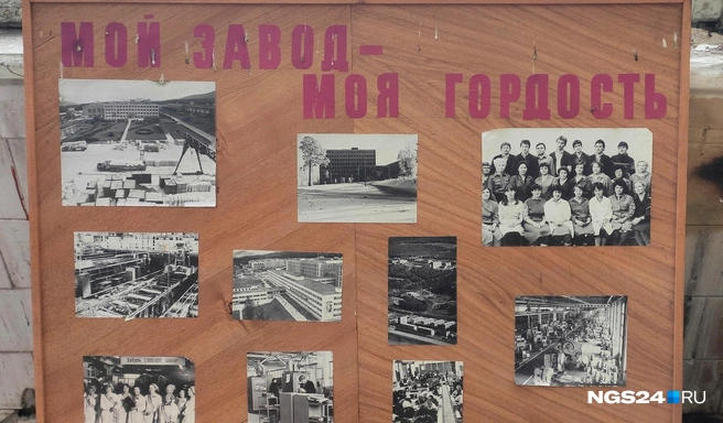 Стенд с фотографиями в одном из корпусов | Источник: Мария Антюшева