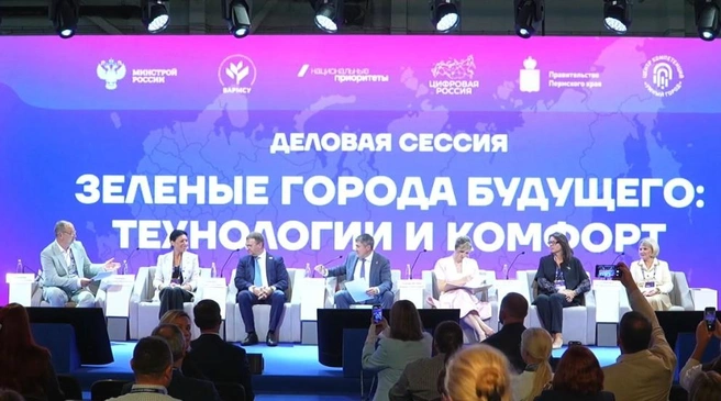 Эксперты обсудили проблемы, решения и удачные примеры озеленения в Перми и других регионах | Источник: УМНЫЙ ГОРОД / Rutube