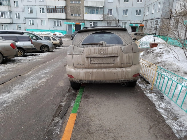 Автор: Инна Зеленова