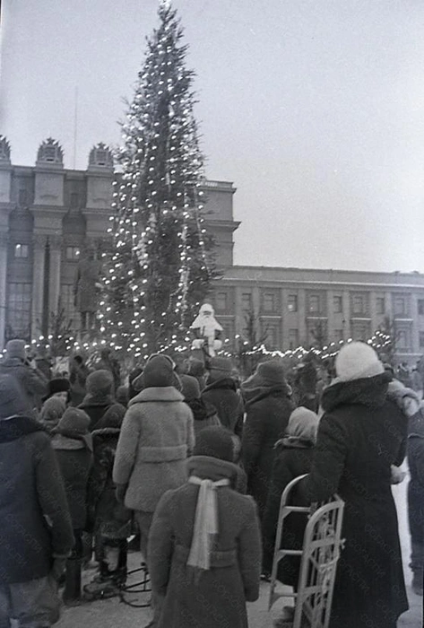 Живая елка на площади Куйбышева была выше оперного. Фото сделано 1 января 1946 года | Источник: фотофонды СОГАСПИ и ЦГАСО