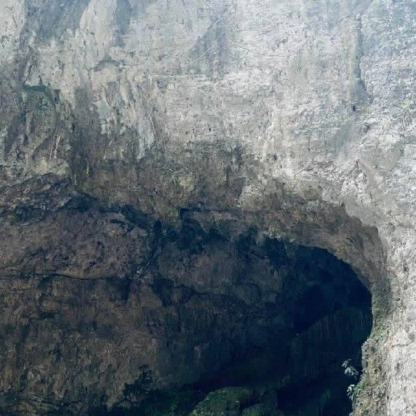 Источник: Полина Свечкарь