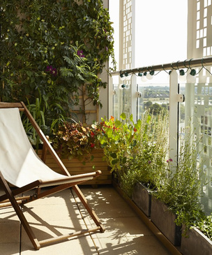 Вопросы читателей: зимний сад на балконе