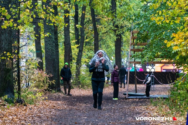 Источник: Дмитрий Волгин / Voronezh1.ru