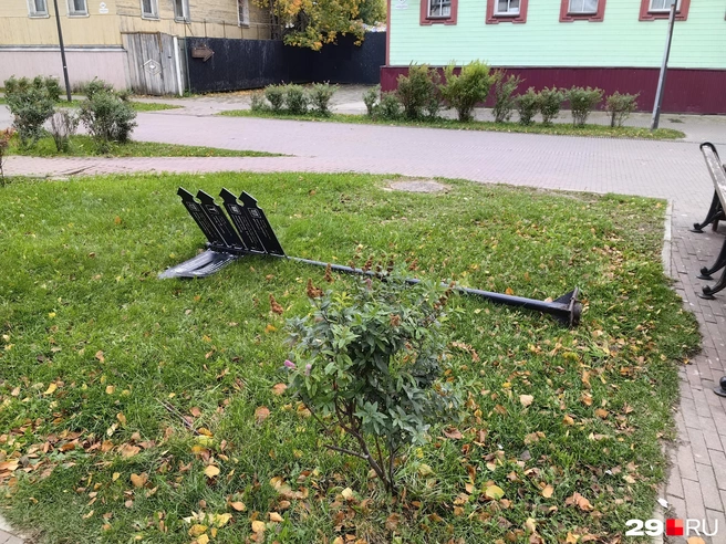 Горожане замечают на земле знаки | Источник: Читатель 29.RU