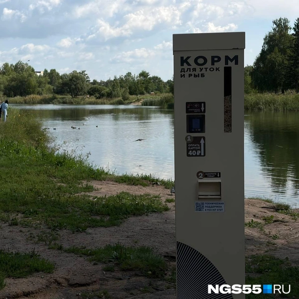 Можно покормить уток и рыб | Источник: Анна Иванина / NGS55.RU