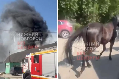 Пожар на конюшне в Нижнем Новгороде: лошади разбежались