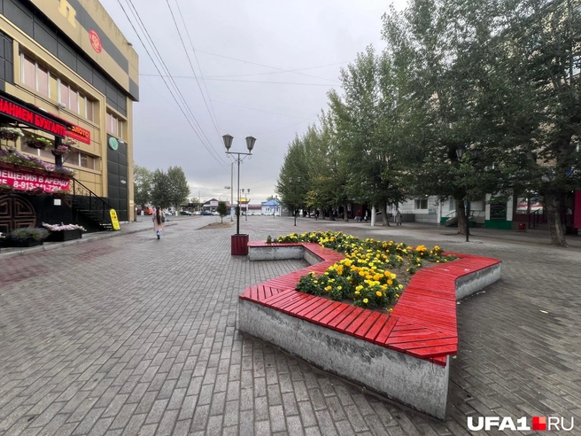 Сейчас я думаю: шпана бы наверняка выдернула все цветы, а так все на месте | Источник: Андрей Бирюков / UFA1.RU