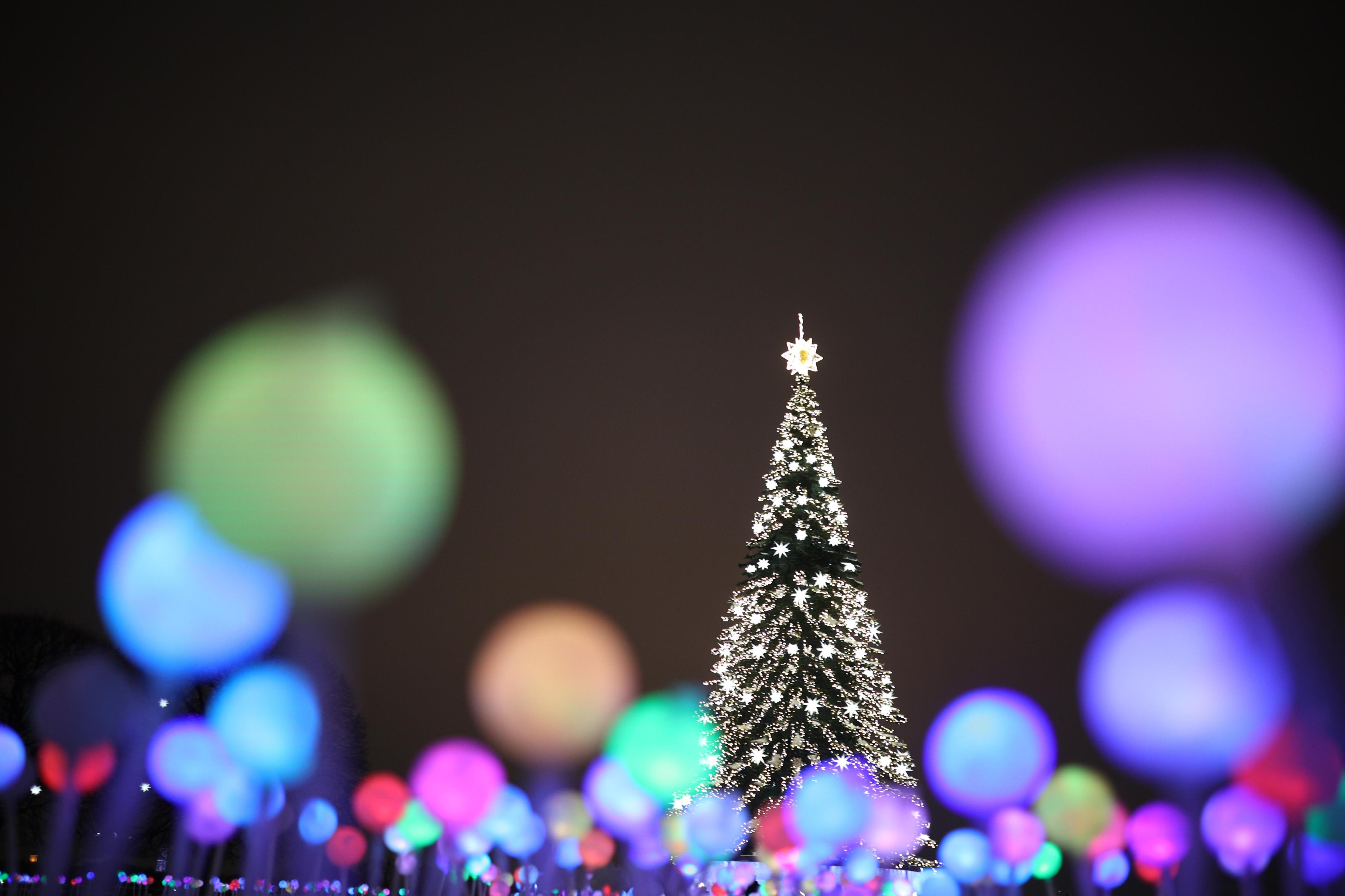 Бесплатный отпуск для всех: как отдыхаем на новогодние праздники в России в 2025–2026 году