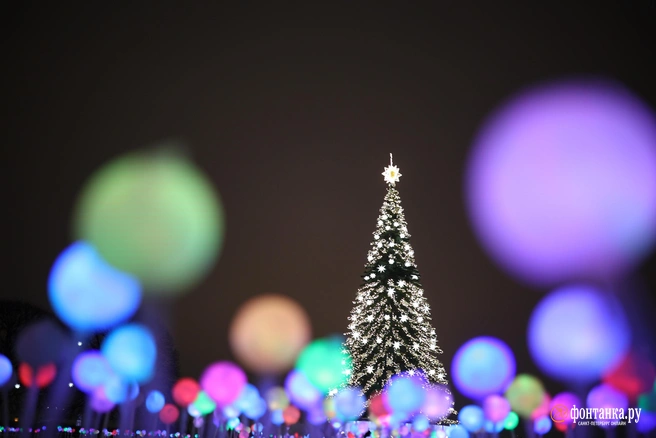 Подготовиться к празднику успеют все, ведь 31 декабря — выходной | Источник: Сергей Михайличенко / FONTANKA.RU