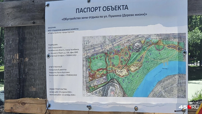 Какой будет зона отдыха «Дерево жизни» | Источник: Дарья Никитченко / 45.RU