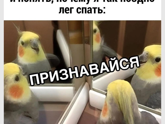 Необходимо провести расследование | Источник: Городские медиа