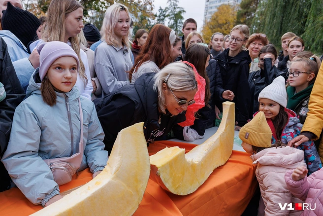 Первые ломтики исполинских размеров все осматривали с большим увлечением | Источник: Алексей Волхонский / V1.RU