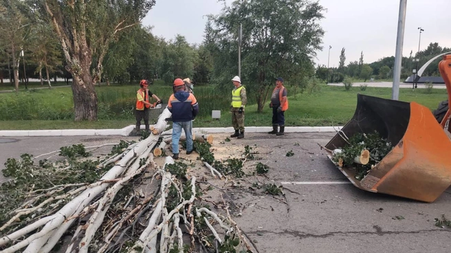 В первую очередь убирали деревья на дорогах | Источник: пресс-служба администрации города Омска