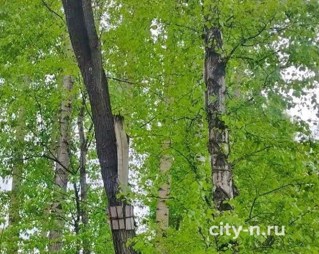 Источник: city-n.ru