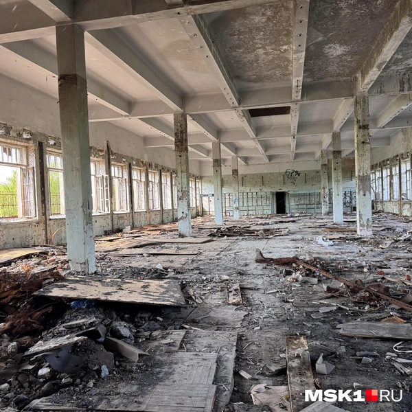 Источник: Алина Мельникова / MSK1.RU