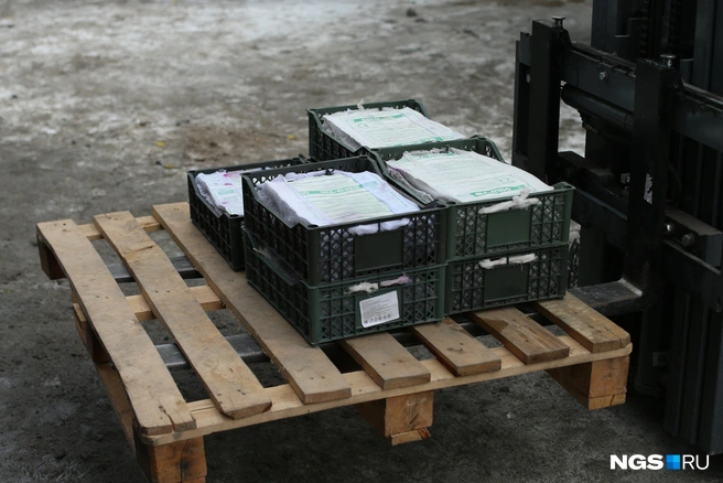 В этих коробках&nbsp;— виноград, продукт еще более капризный, чем мандарины. Чтобы с пятницы по понедельник он не испортился, водители ежедневно сжигают по 40 литров солярки | Источник: Андрей Бортко / NGS.ru