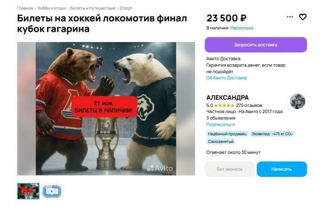 сервис объявлений | Источник: цены переваливают за 20 тысяч рублей