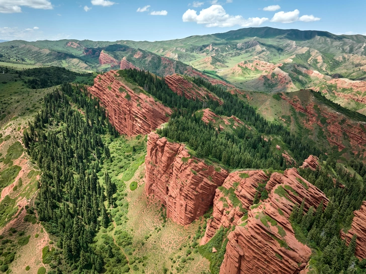 Источник: yalcins via Shutterstock/Fotodom.ru