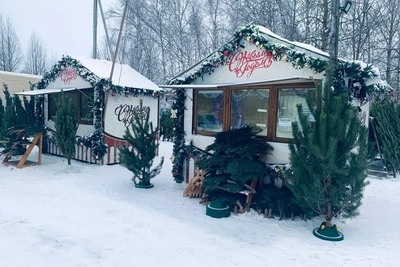 В Нижневартовске открылись ёлочные базары
