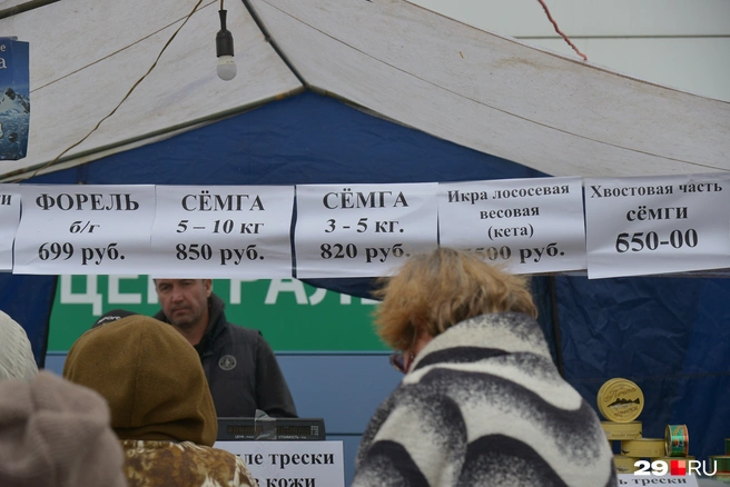 Еще немного про цены на семгу, а также на форель | Источник: Иван Митюшёв