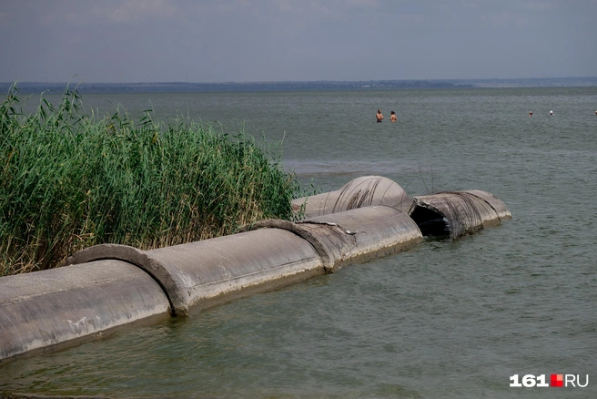 Азовское море сейчас цветет, поэтому вода кажется мутной и зеленой | Источник: Евгений Вдовин / 161.RU