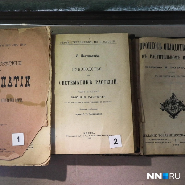 Источник: Наталья Бурухина / NN.RU