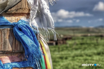 На них — свежие ленты | Источник: Алена Кашпарова / «ИрСити»