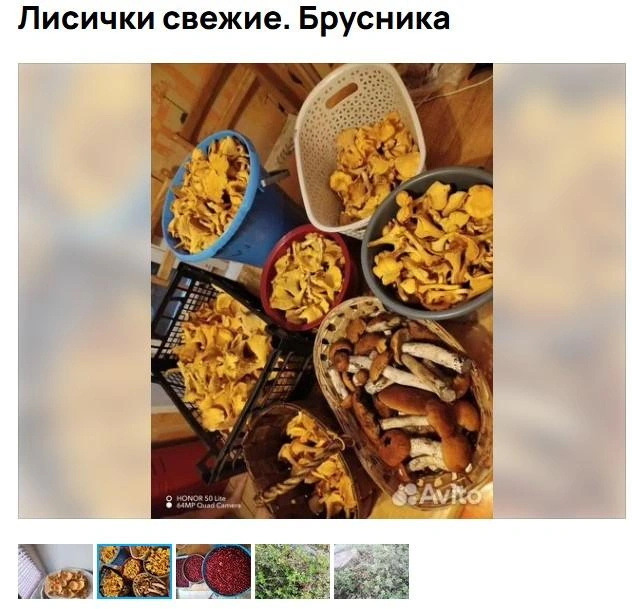 Источник: Авито / Avito.ru