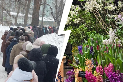 Сотни людей в метель выстроились у Аптекарского огорода