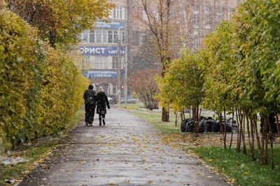 Красноярск ждет ветер до 18 м/с и мокрый снег