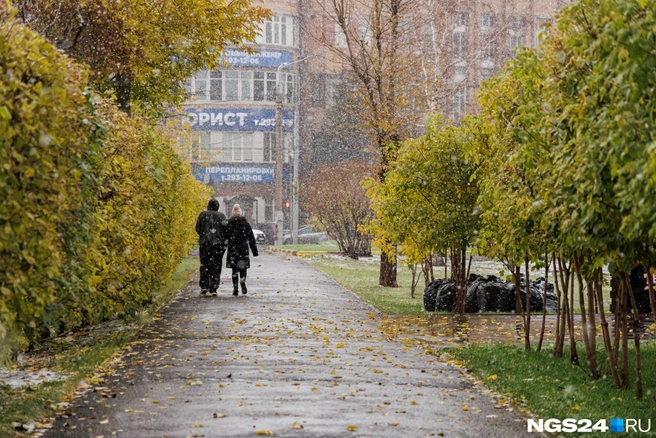К ветру в середине недели добавится мокрый снег | Источник: Мария Ленц / NGS24.RU
