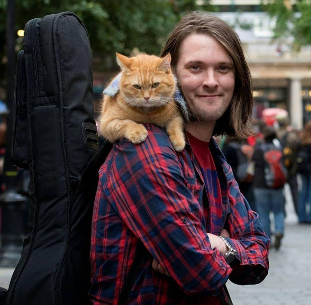 «Я снова оказался на улице»: как сложилась жизнь Джеймса Боуэна, хозяина кота по имени Боб