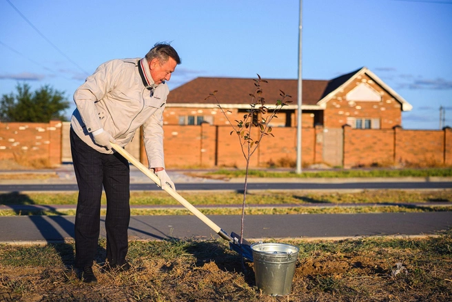 Сотрудники много трудились, чтобы облагородить пространство | Источник: Светлана Иванова