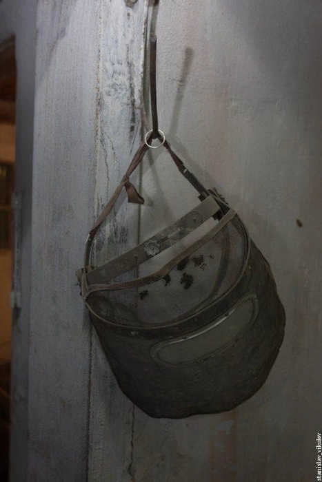 Источник: Vikulov_Stanislav