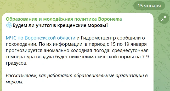 Возможно, морозы уже ударили по грамотности администратора канала управления образования и молодежной политики в Telegram | Источник: Образование и молодёжная политика Воронежа / T.me