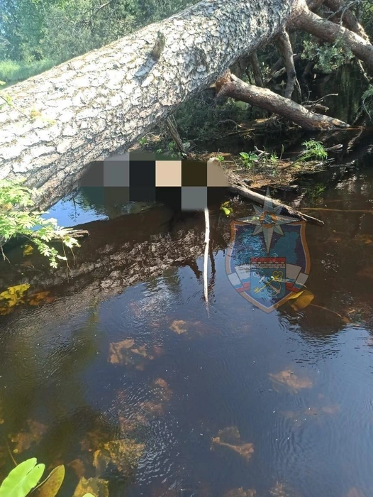 Тело найдено в реке. Водителя, который не справился с управлением, искали больше недели | www.fontanka.ru