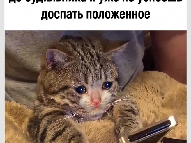 Неприятная ситуация | Источник: Городские медиа