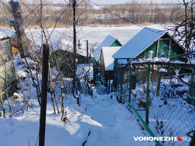 Поселок расположен на склоне | Источник: Дмитрий Волгин / Voronezh1.ru