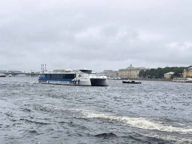 Добраться до Петергофа теперь можно на скоростном катамаране с Адмиралтейской набережной | Источник: Комитет по транспорту Петербурга
