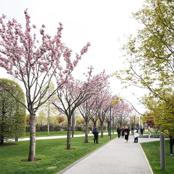 Самое время прогуляться по парку! | Источник: Дарья Паращенко / 93.RU