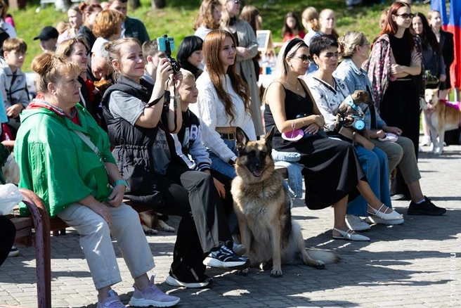 Источник: st.cherinfo.ru