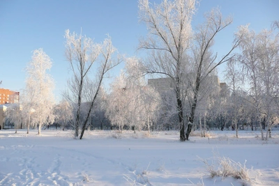 Kurgan Schools Cancel Classes for Both Shifts Due to Cold