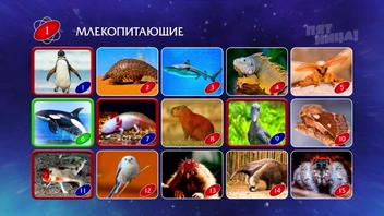 Выбранные Сергеем ответы обведены рамками: зелёной&nbsp;— правильный, а красными&nbsp;— неверные | Источник: телеканал «Пятница», «Студия Пятница»