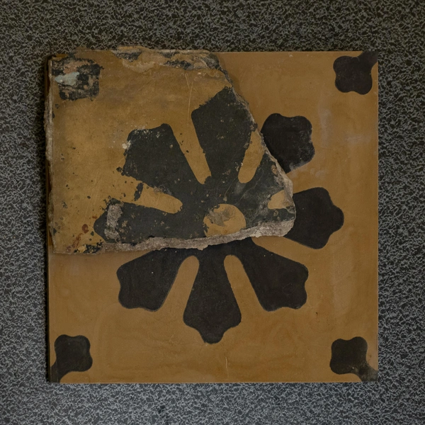 Источник: Сергей Николаев / «Фонтанка.ру»