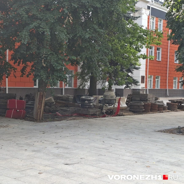 Источник: Алёна Воропаева / Voronezh1.ru