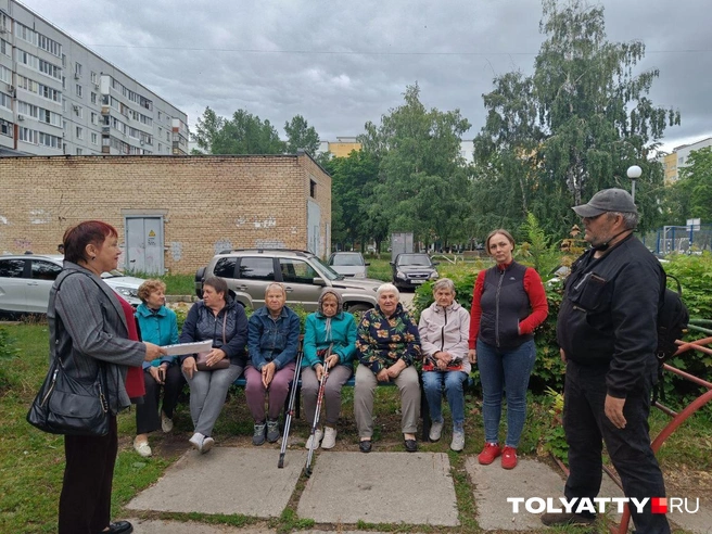 Люди намерены привлечь к ситуации внимание, чтобы отстоять деревья | Источник: Юлия Дроглева