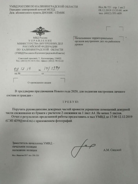 Полицейские в Калининграде послали коллегам фейковый приказ вырезать снежинки. В наказание им пришлось делать снежинки «для всего МВД»