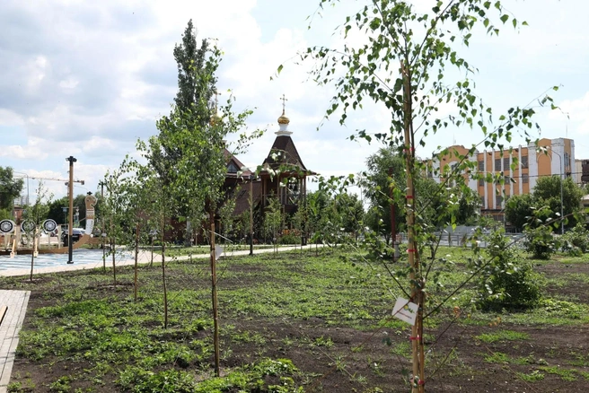 В сквере на Хлебной площади будут установлены арт-объекты | Источник: Иван Носков