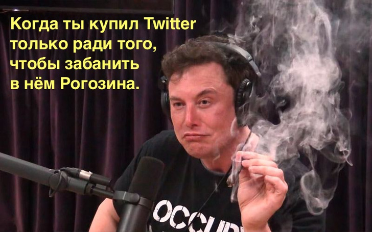 Лучшие шутки про Илона Маска, который купил купил 9,2% «Твиттера»