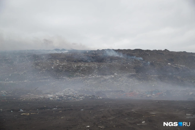 После рекультивации на месте полигона засеют траву | Источник: Александр Ощепков / NGS.RU